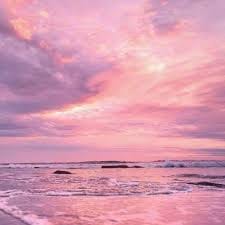 คิมเบอร์ลี่ แอน avatar